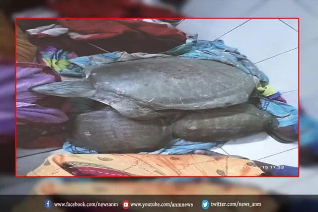 रेलवे स्टेशन से कछुए के साथ एक तस्कर गिरफ्तार