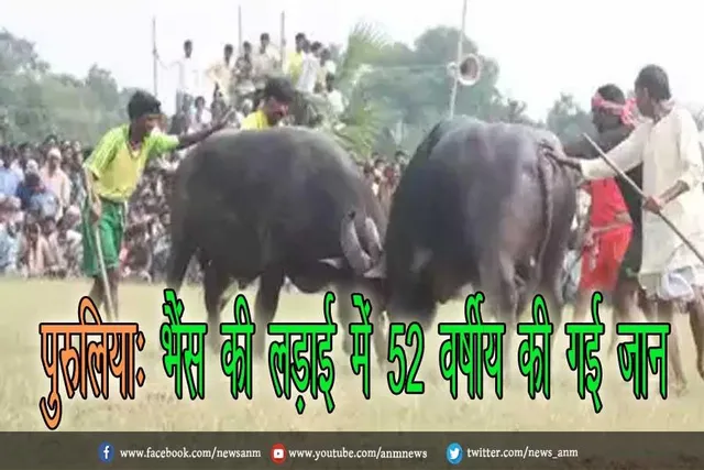 पुरुलिया: भैंस की लड़ाई में 52 वर्षीय की गई जान