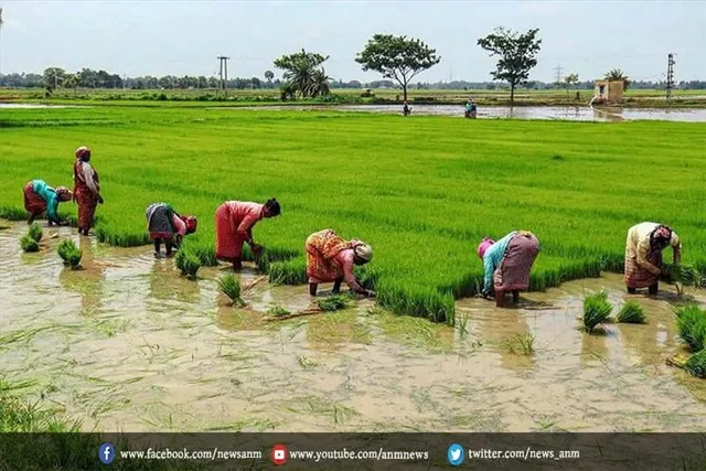 पश्चिम बंगाल में जलवायु परिवर्तन धान की पैदावार को किया प्रभावित