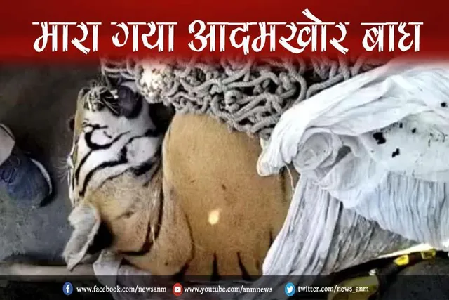 मारा गया आदमखोर बाघ