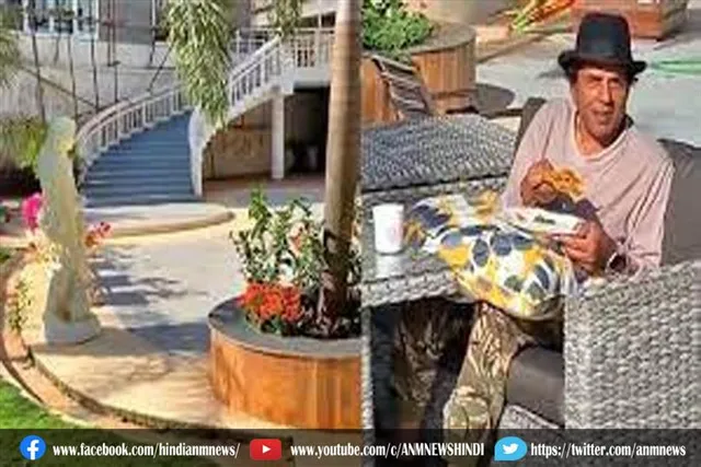 ये अभिनेता के फार्म हाउस पर मोर