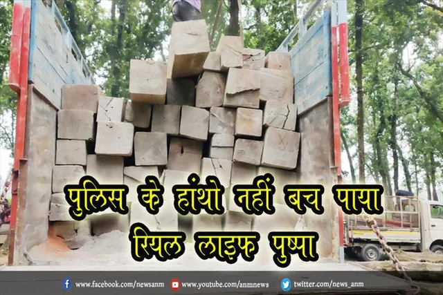 पुलिस के हांथो नहीं बच पाया रियल लाइफ पुष्पा