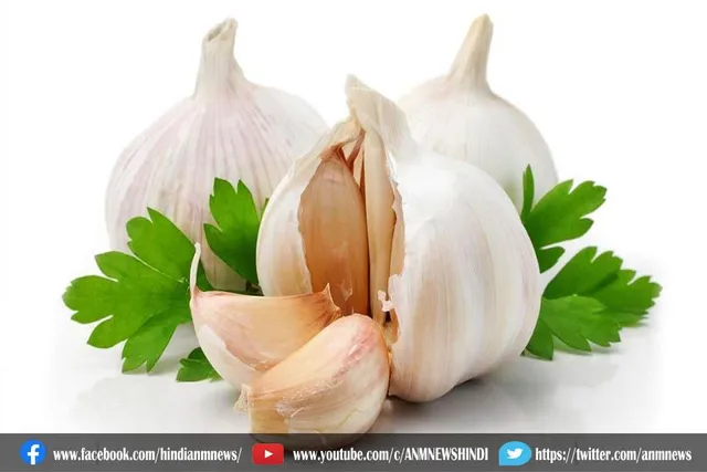 रोज सुबह खाली पेट लहसुन का सेवन करें