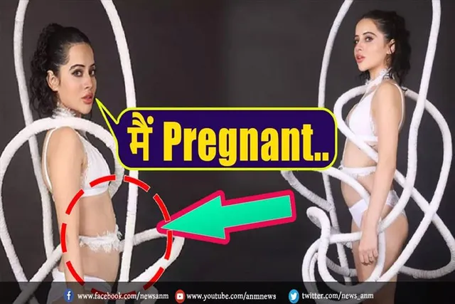प्रेग्नेंट हैं उर्फी जावेद?