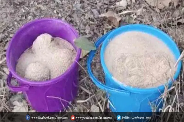 बीरभूम जिले में 80 बम मिलने से मचा हड़कंप