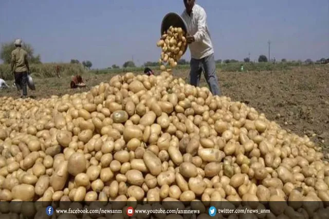 इतने लाख टन आलू खरीदेगी बंगाल सरकार