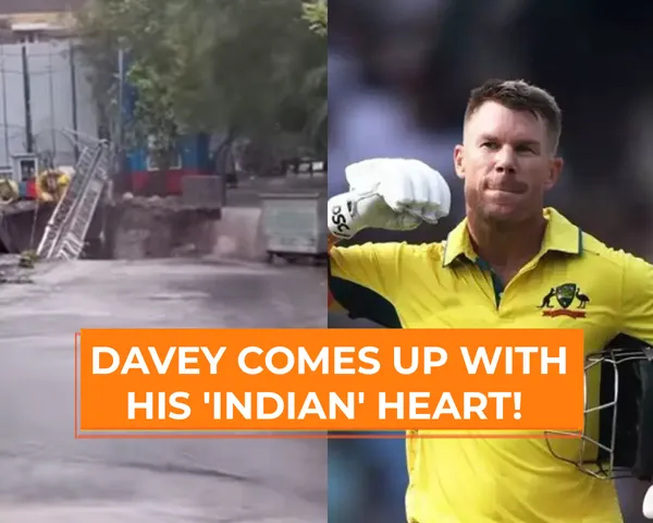 David Warner (File Photo: Twitter)