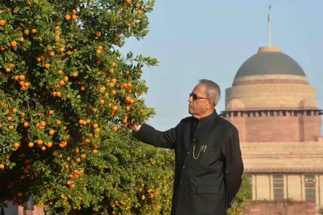 Pranab Mukherjee Inaugurates Jakson Solar Power Plant at Rashtrapati Bhawan