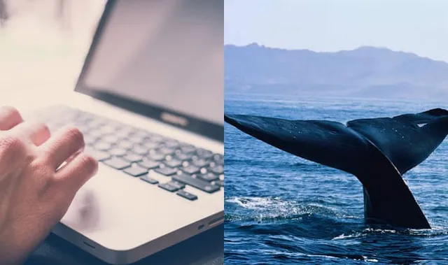 Karnataka's way to beat Blue Whale Challenge