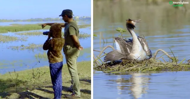 How Menar Became India’s ‘Bird Village’: Home to 100+ Species & a Global Model for Conservation