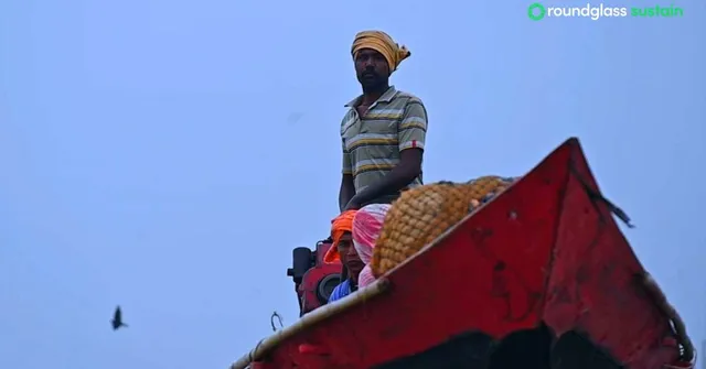 Once Poachers, Now Protectors: How a Small Odisha Village Became a Haven for 3 Lakh Migratory Birds