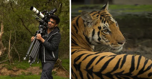 What a Student From Bhopal Learned While Filming How Pench’s Villagers Live With Tigers