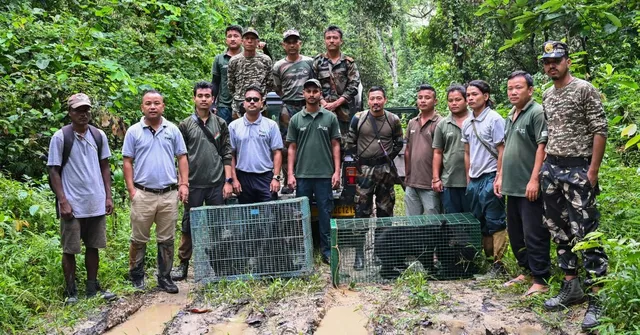 A Day with Bear Rewilders: Following a Team in Arunachal Pradesh Giving Cubs a Second Chance