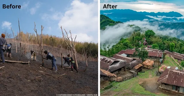 How the Konyak Community in Nagaland Is Reviving Its Forests Through Youth-Led Conservation