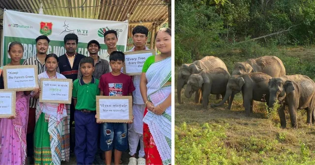 Locals Turned Wildlife Protectors Are Safeguarding 101 Corridors To Help Elephants Move Safely