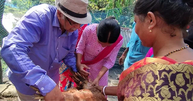 From Snake Rescues to Safer Honey Collection: These Heroes Protect the Sundarbans