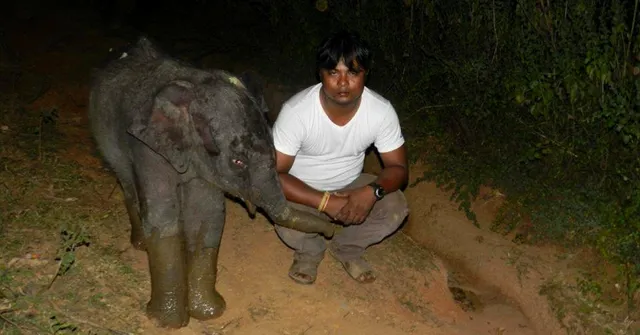 30 Years, 2500 Rescues: Why This Assam Man Is a True Champion of India's Wildlife