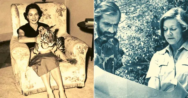 Adopting India as Her 'Home', A British Woman Fought to Save Tigers & Wildlife All Her Life