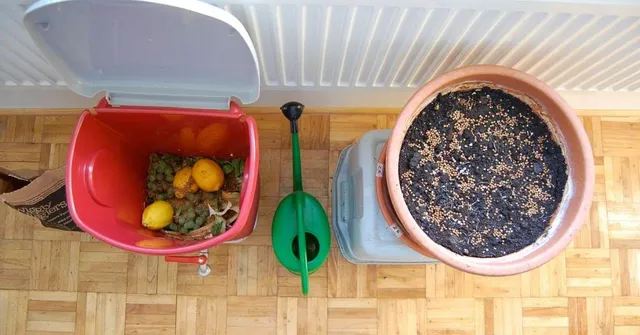 Not Everything Biodegradable Belongs in Your Compost Bin — What NOT to Compost in Indian Homes