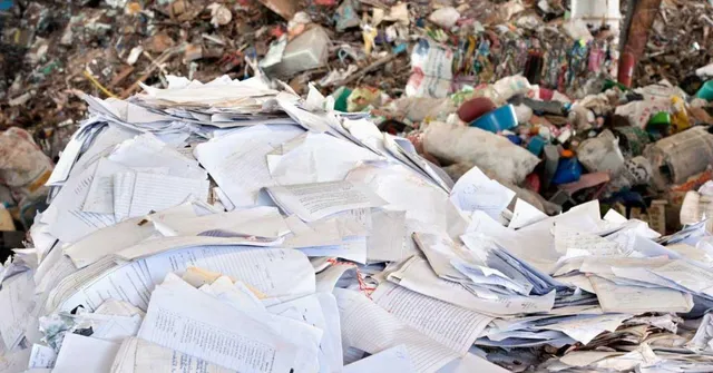 What Every Indian Needs to Know About Tackling The Country's Paper Waste Problem