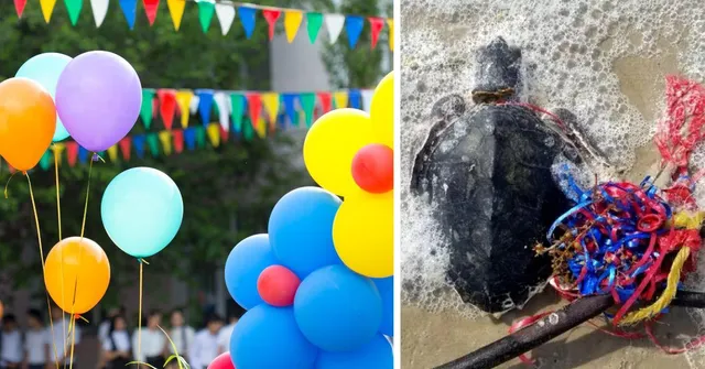 Beyond the Pop: Watch What Happens to Balloons After the Fun Ends