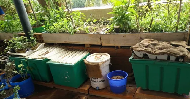 5 Easy Ways Indians Are Turning Kitchen Waste Into Manure at Home