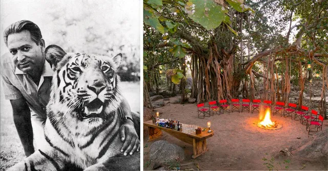 This Wilderness Camp ‘Disappears’ Every Year to Protect Tigers & Forests in Madhya Pradesh