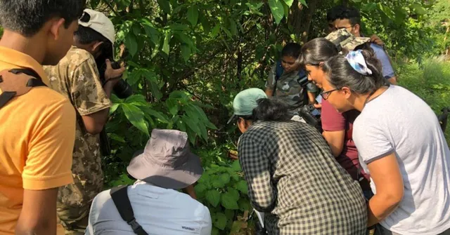 How Are These Children Learning to Track Tigers and Rescue Snakes?