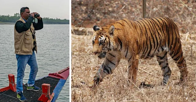 Once a Poacher, Now a Guardian: How One Man Helped Save 70 Tigers