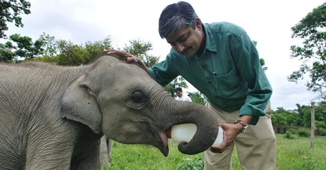 30 Years, 101 Elephant Corridors: Vivek Menon’s Blueprint for Elephant Protection in India