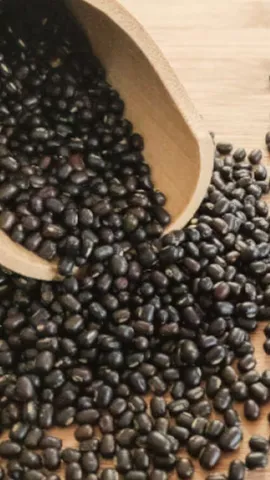 उड़द दाल खाने से सेहत को मिलेंगे 7 फायदे