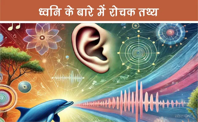 Interesting facts about sound