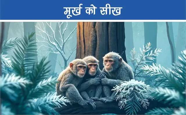 Jungle Story A lesson for the fool