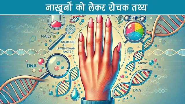 Interesting facts about nails