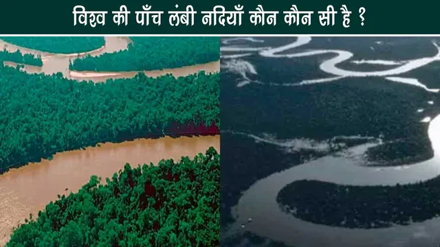 Which are the five longest rivers of the world?