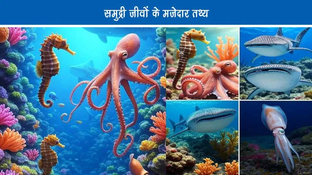 Fun Facts About Sea Animals in Hindi