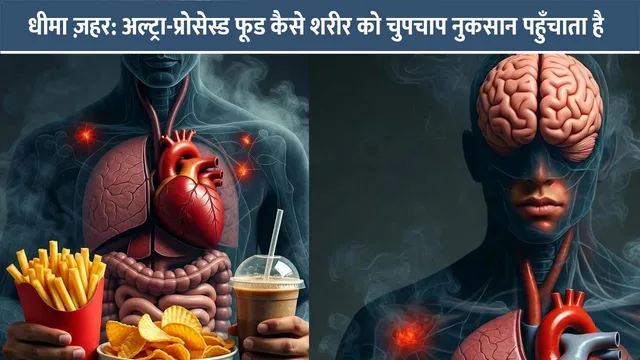 Slow-Poison-How-Ultra-Processed-Food-Silently-Harms-the-Body