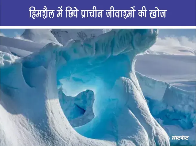 Discovery of ancient fossils hidden in icebergs