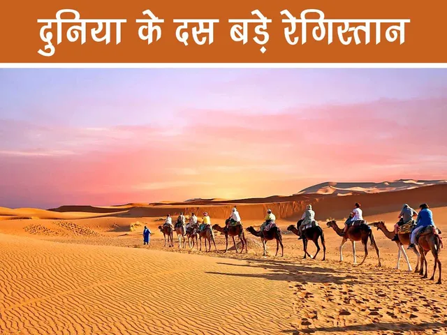camels in desert