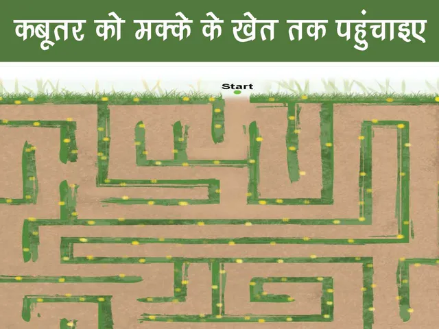 Maze puzzle