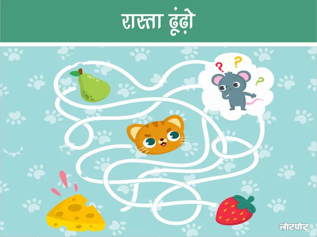Cat and mouse game find the right path