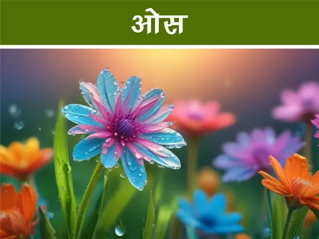 cartoon image of dew on flower