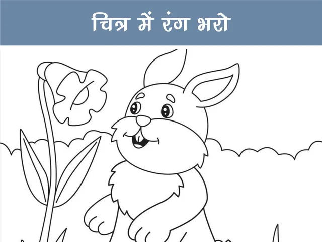 colour the picture