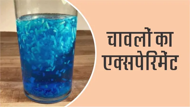 Science Craft: Experiment of Dancing Chawls