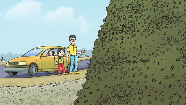 Story: Garbage Mountain