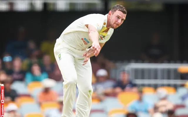 Josh Hazlewood (Source - Twitter)