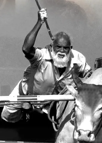 சங்ககால ஊர்திகள்