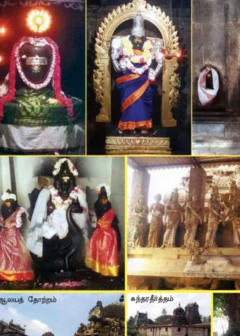 சொல்லைச் செயலாக்கும் சொன்னவாறு அறிவார்!