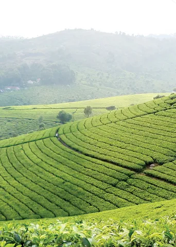திண்ணைக் கச்சேரி! மந்திரியை ரவுண்டு கட்டிய மகளிரணி!