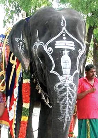 மாவலி பதில்கள்